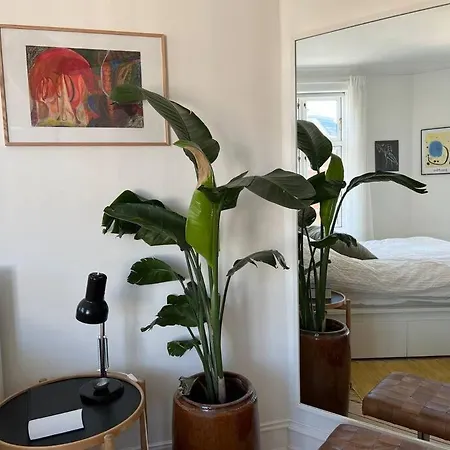 Bright And Cosy Top Floor Apt. Апартаменты Копенгаген